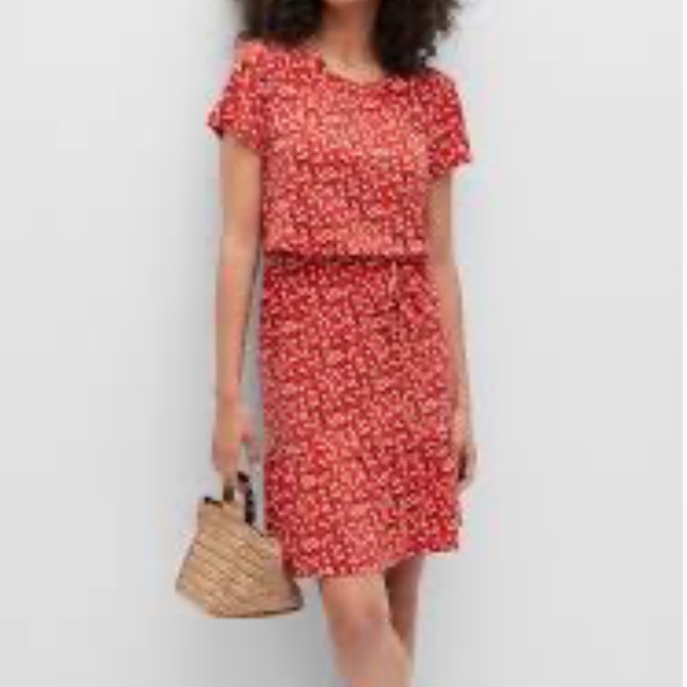 Banana Republic FLOUNCE-HEM FIT-AND-FLARE DRESS Red floral print